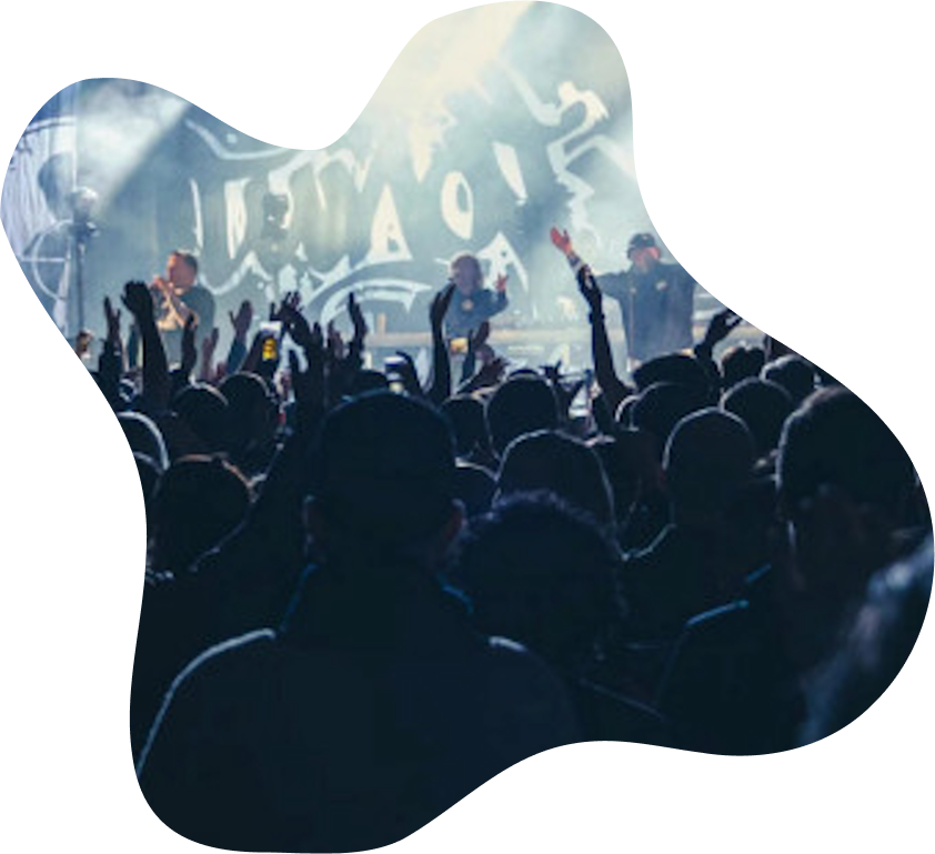Publikum på konsert